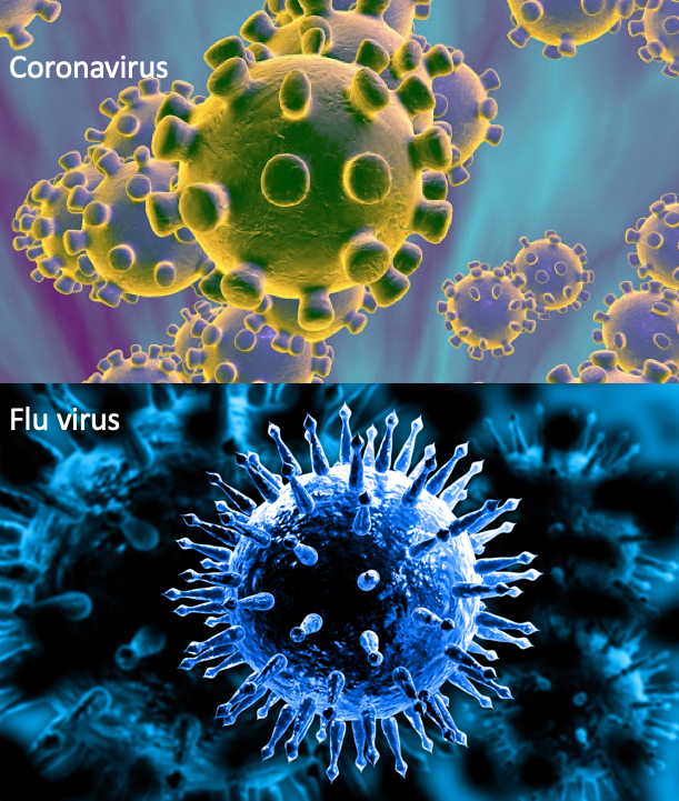Coronavirus VS The Flu: Symptoms, Severity, Spread